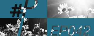 podgressive-042